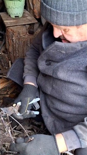 Mastering the Pruning Shears Technique #woodworking #skills #wood #firewood #garden #gardentools
