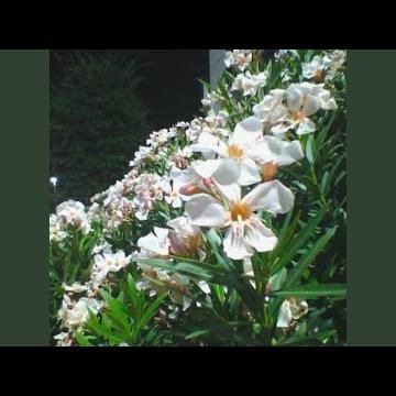 love will find a way (interlude)