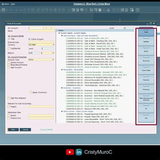 SAP Business One – Chart of Account Structure (Quick Guide)