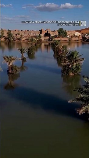 Sahara is hit by flash floods submerging dunes and palm trees