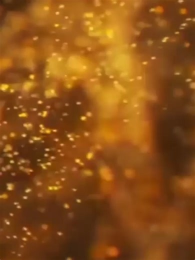 Trail Tech — Live & Locked #FY #fyp #safety #gps #fy #protection