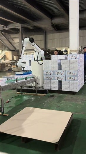 1200 Cartons/Hour! Automatic Palletizing Robot | 10 Cycles/Min Beverage & Beer Line #palletizing