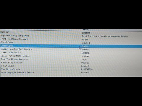Quick Intro To FORScan.