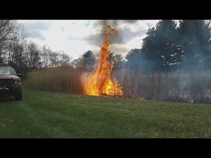 Burning the grass, big fire!