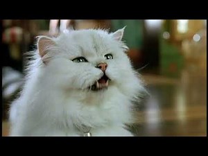 Stuart Little 2 (2002) Teaser Trailer(MGM Version)