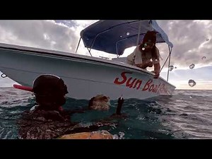 Long Island BAHAMAS SPEARFISHING & Freediving | SAVAGE SESSIONS