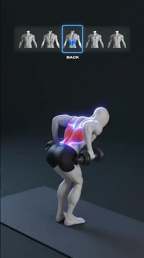 The Perfect Bodybuilding Training Plan