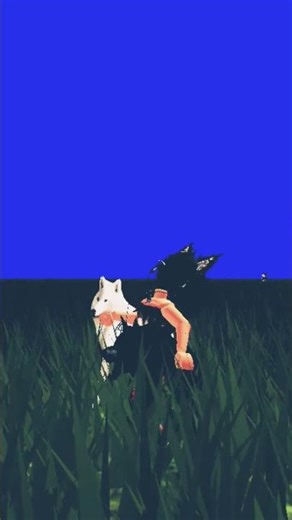 we are wolves we own the night