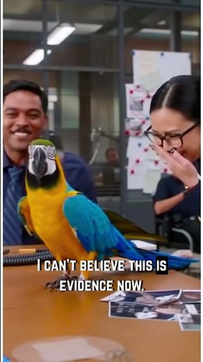 Parrot vs Police 😂 | Funniest Interrogation Moments Ranked #parrottalking