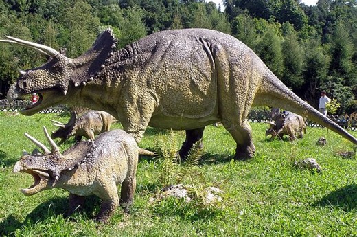 Triceratops, Fakta Dinosaurus Bertanduk Tiga yang Memukau Peneliti | National Geographic