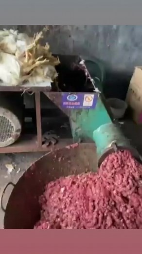 Kima cutter machine ☎️📞📲 91 74892 41187 | Punjab Engineering Corporation