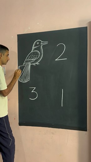 160K views · 2.3K reactions | How to draw birds use chalk and black board || 列 #birdart #birdlife #artist #artistnareshkumar | Artist Naresh kumar | Facebook