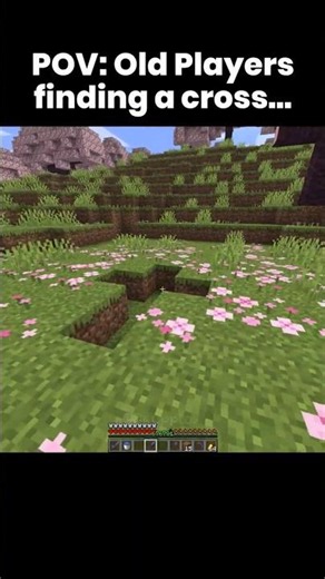 POV: You are an Old Minecraft Player😭 #minecraft #shorts