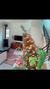 211K views · 68 reactions | Now you see me  (he was alright -Dad) • • • • • • • • • (Follow @kidsgettinghurt and click the link in our bio to submit your video) • • • • • • • • • Submission: Kevin Frey | Kids Getting Hurt | Facebook