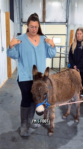 565K views · 33K reactions | How much does Dorothy weigh?𢡊 | Katie Van Slyke | Facebook