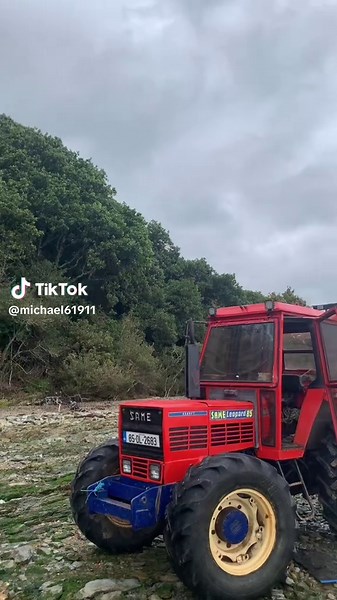 #fyp #🚀🚀 #same #oysters #active #goodboy #likeherup