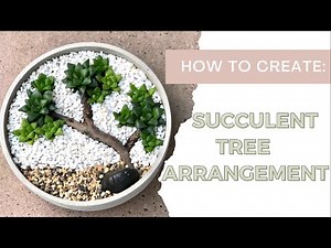 How to Create DIY : SUCCULENT TREE ARRANGEMENT