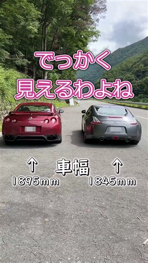 とある時期の日産の顔 #車 #日産 #gtr #フェアレディz
