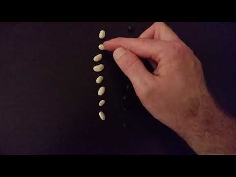 Peppered Moth Lab Part 1