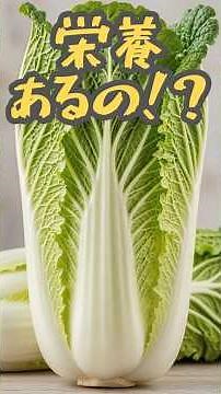 白菜って実は95%が水分なのに栄養満点って知ってた？💧 #食トーク #shorts