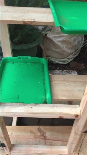 Creating a portable/mini hydroponic fodder unit #urbangardening #hydroponicfodder