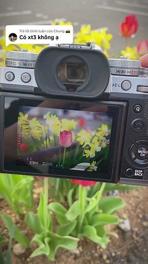 Trả lời @Chung 📸 nay về bộ fujifilm xt3 len 23 viltrox ace nhanh tay nào #tiemmayanhcubantainhat #v3camera #fujifilmxt3