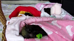 90K views · 7.4K reactions | It's the same story in homes across...