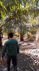 Metode baru. Anti maling katanya | Arijal Novra