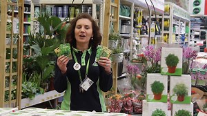 67K views · 431 reactions |  Ai card de client Leroy Merlin? Vino să-ți ridici premiile din magazin!  Vezi detaliile campaniei noastre de primăvară, aici:  https://bit.ly/3ZrMmbk   Te așteptăm cu drag la cumpărături!  | Leroy Merlin Romania | Facebook