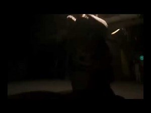 bingo vs snorky but I voiced it