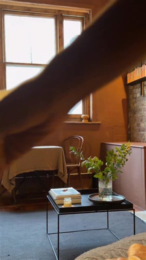 Jessica Yupele on Instagram: "It’s a shoot day today! 📸 I’ve even managed to get a bunch of #BTS video, too. Will I actually make it into something for once? Time will tell. For now, while I’m on a much-needed meal break, here I am rearranging furniture and taking some test shots"