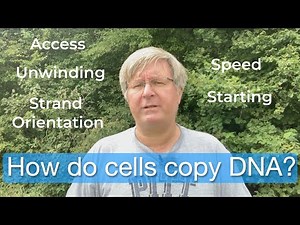 DNA replication: How does a cell make a copy of its DNA?