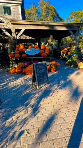 Getting ready for Pumpkin Festival 2025 🧡 tomorrow Saturday 10:30am to 2:30pm! Tag your island friends below! | Morning Glory Farm