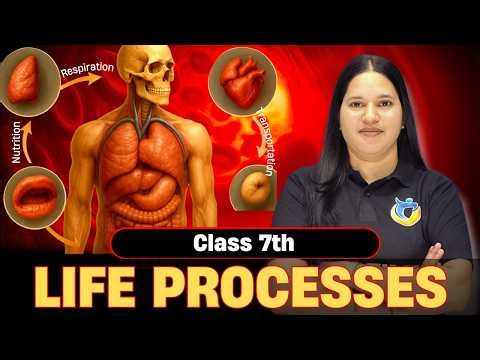 Life Process - The Ever-Evolving World of Science | Class 7th Chapter 1 | Curiosity Book