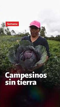 Denuncian penalmente a la ANT por $500 mil MILLONES que se embolataron