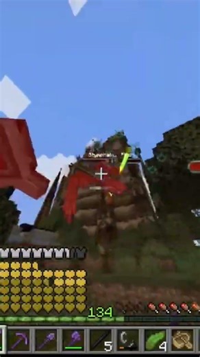 Minecraft: My first ever Hydra