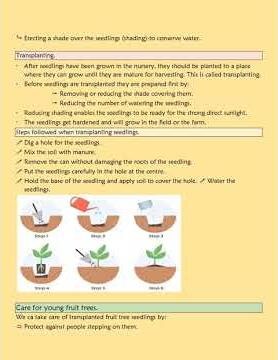 Grade 4 Agriculture and Nutrition Rationalised Notes