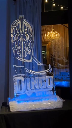 DINGO BOOTS on Instagram: "The BEST night at the @cma awards after party with @wme ✨ #doitindingo"