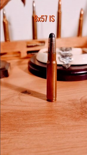 8x57 IS #caliber #Mauser #hunting #outdoor #hunting #history #8mm #forest #driven hunt #wildlife