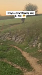 @donkey_familyy ( source tiktok: @boggs funy farm) | Donkey family