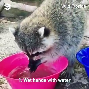 2.1M views · 7.3K shares | Handwashing tutorial By Wild Florida | 9GAG | Facebook
