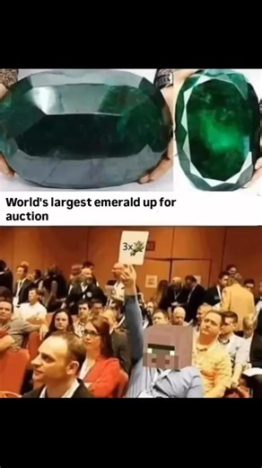 1.4M views · 24K reactions | Best I can do is 3 wheat #memes #gaming #minecraft | Minecraft Daily Videos | Facebook