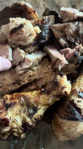 Feast for pitbull dog salmon pork beef and chicken wings