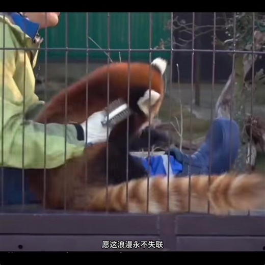 user30751008324 on TikTok