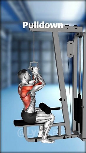 Mike Mentzer Heavy Duty (Day 1 Chest & Back)