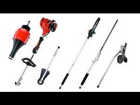 Echo 225 PAS & Edgit Pro review and Demonstration