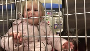 123K views · 5.6K reactions | Help me find this girl a home. No not...