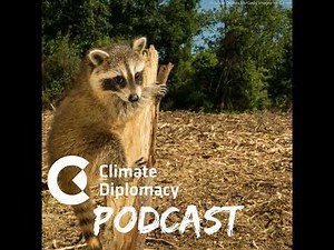 Episode 49: Unrooting environmental crime: Impacts and opportunities for climate and security