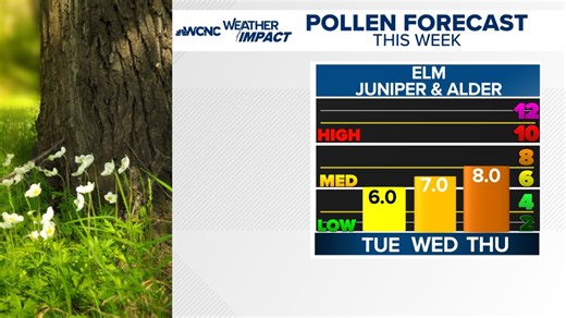 Pollen surge coming: Early tree allergies rising as temperatures warm this week