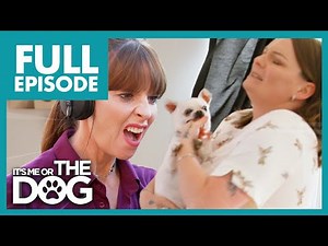 'SAVAGE' Chihuahua Bites Owner & Draws Blood | Full Episode 117 | It's Me or the Dog